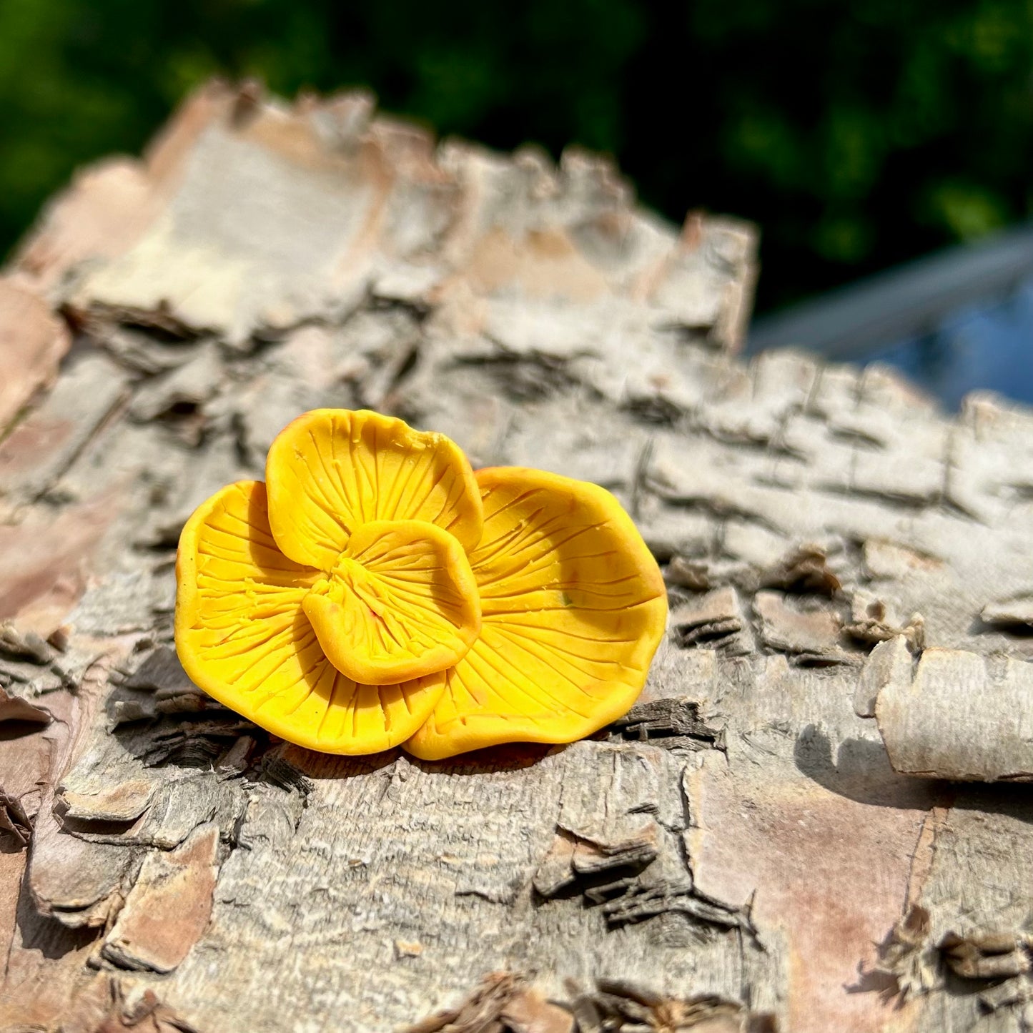 Chicken of the Woods Pin