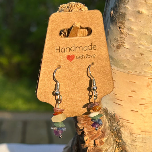 Pride Earrings