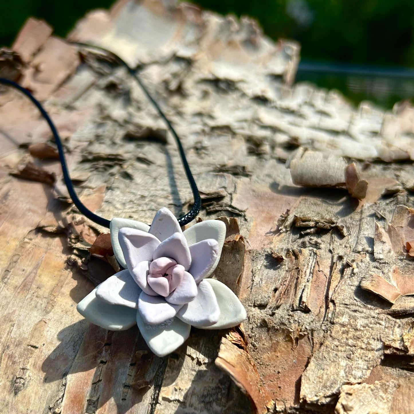 Echeveria Succulent Pendant