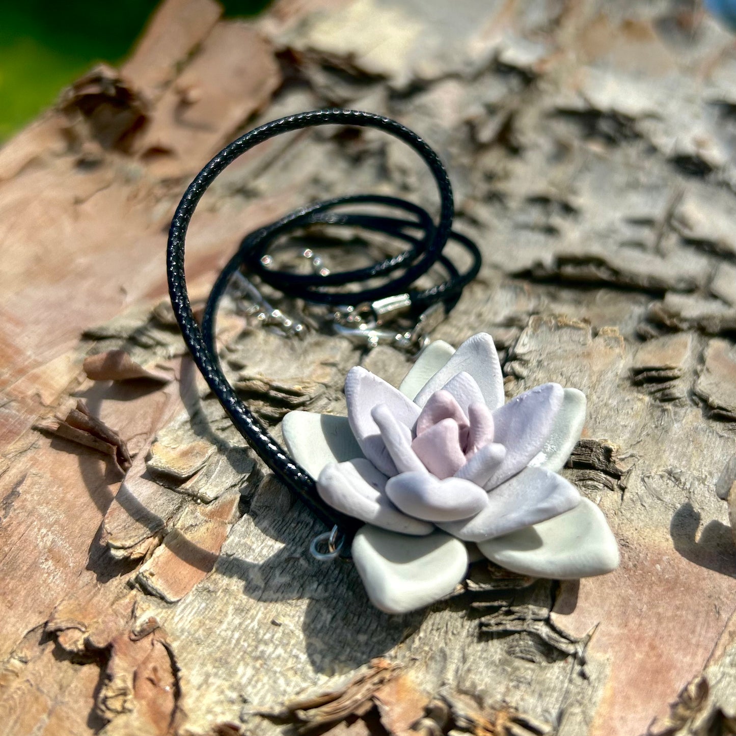 Echeveria Succulent Pendant