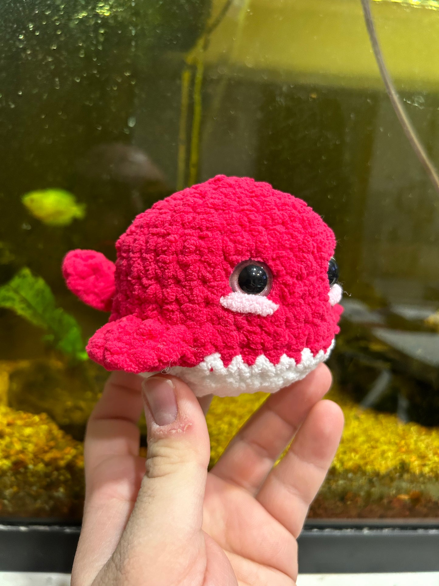 Small Whale Plush